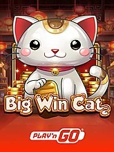 Big Win Cat